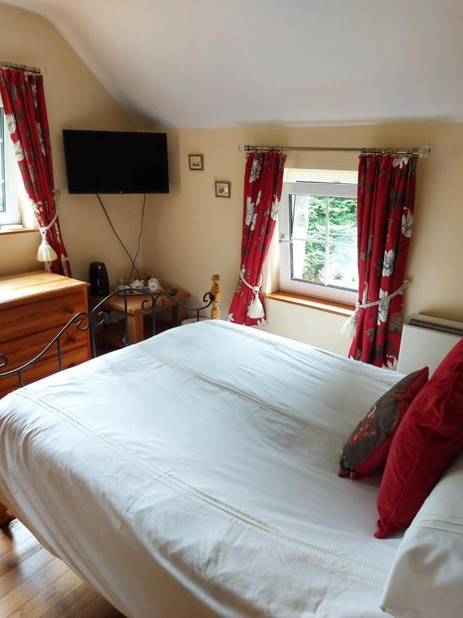 Bryn Sion Farm Villa Dinas Mawddwy Dış mekan fotoğraf