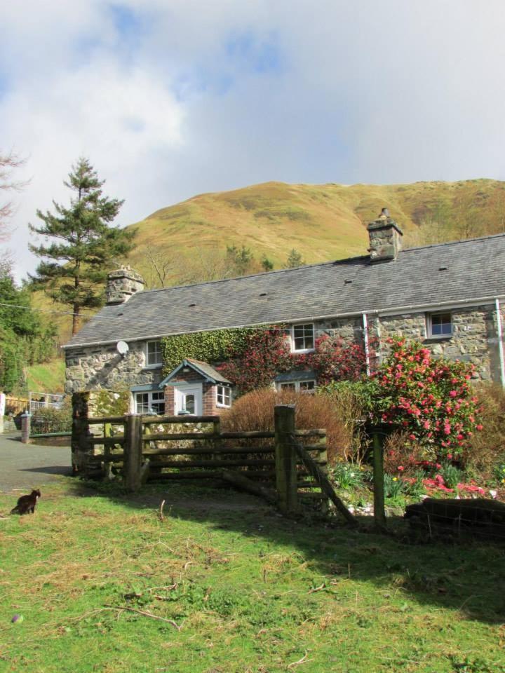 Bryn Sion Farm Villa Dinas Mawddwy Dış mekan fotoğraf